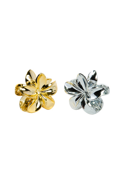 Silver & Gold Clip Set