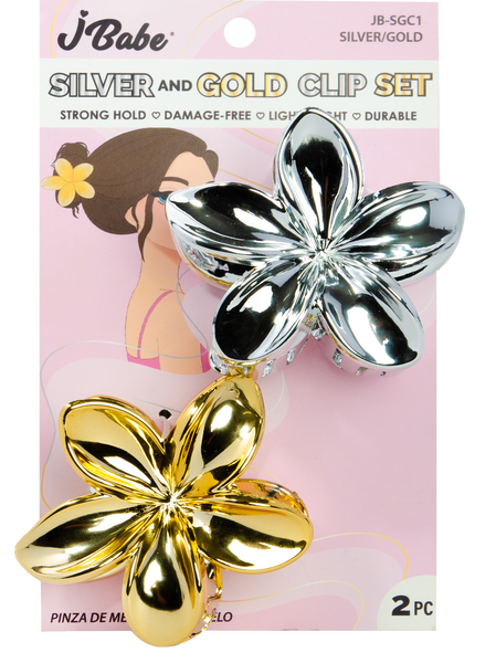 Silver & Gold Clip Set