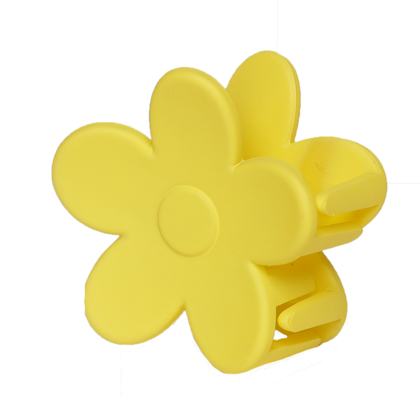 2 pc Flower Hair Clips